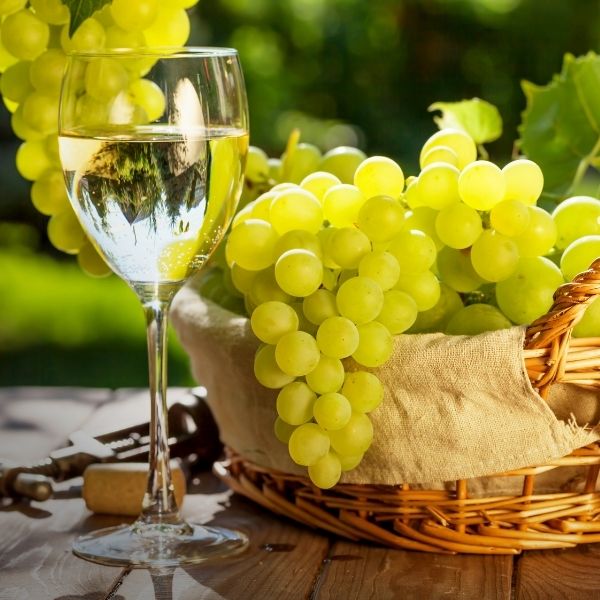夏日喝白酒必讀！全球經典白葡萄品種指南